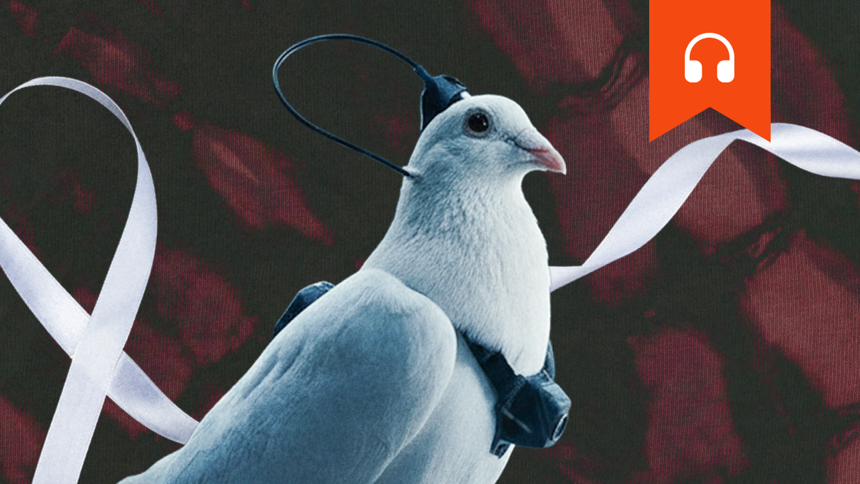 Голуби войны: кто и зачем превращает птиц в живое оружие. Аудиоверсия