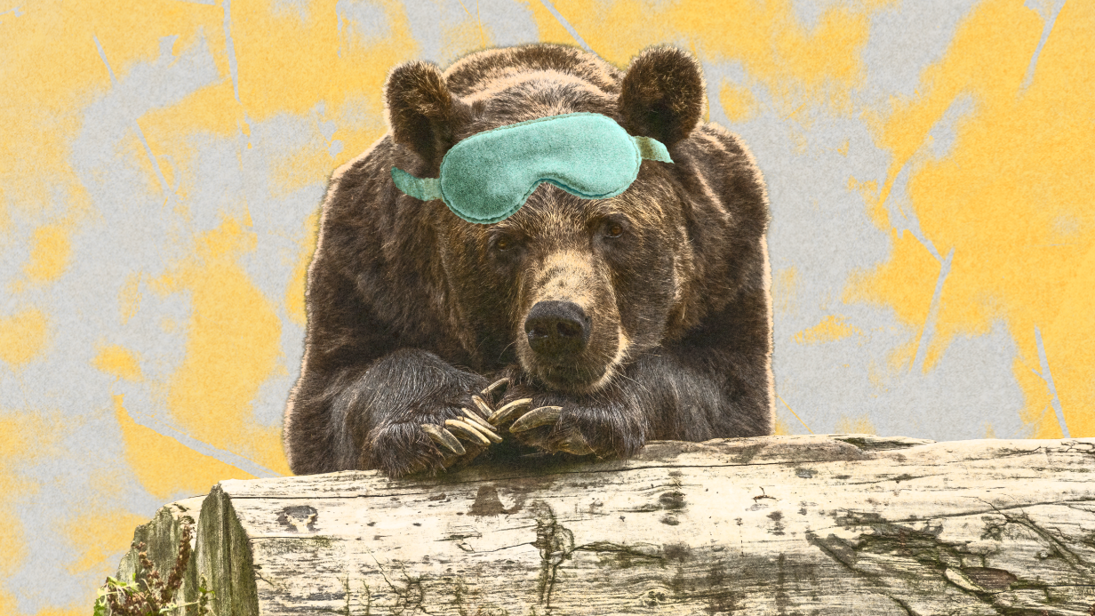 Остаемся зимовать: в любой непонятной ситуации впадай в спячку